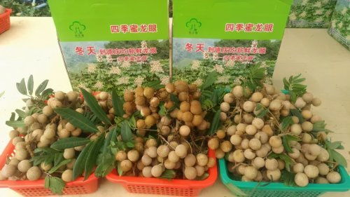 肇慶被確定為國家農產品質量安全市創建單位，躍居全省第三